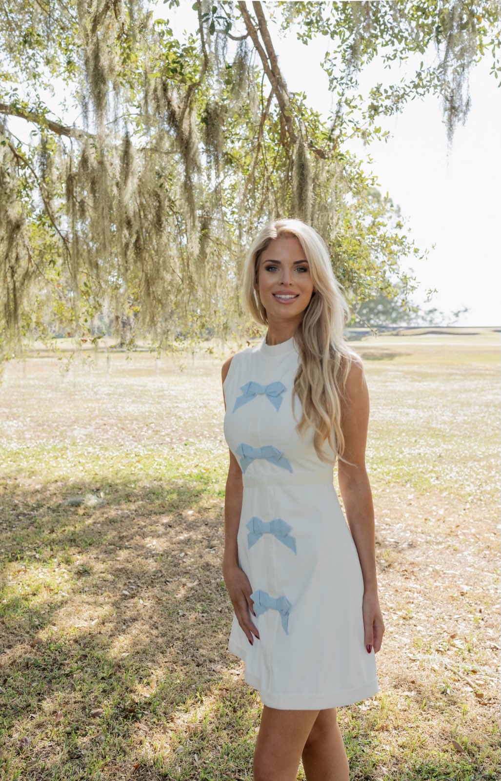 The Blue Ribbon Dress