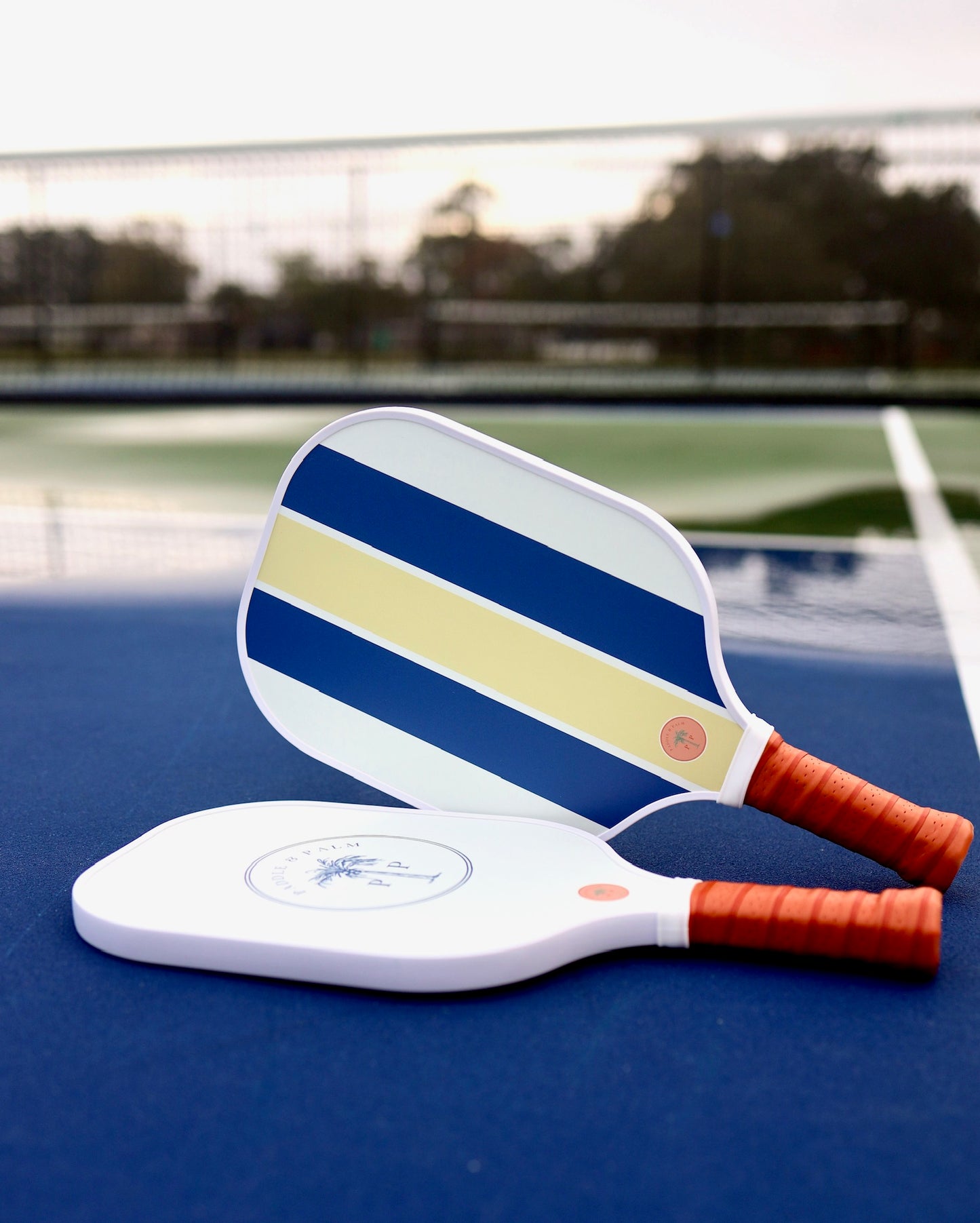 Both sides of a cute pickleball paddle with blue and gold designs